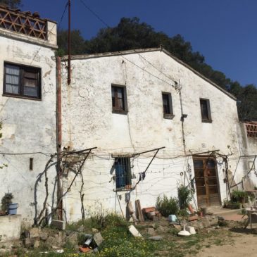 Converting an old masia into a spectacular space for living